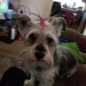 Meet your Posher, Teresa